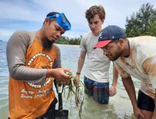 Pengenalan mangrove dan lamun kepada mahasiswa Delft University of Technology